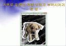 Adobe_photoshop_CS_2(4일).ppt  36페이지