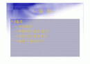 Adobe_photoshop_CS_2(5일).ppt 2페이지
