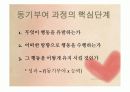 동기부여 이론의 기초 4페이지