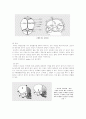[모성간호]유도분만(NSVD) case study 6페이지