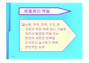 조직행동론과 기초 역량들 25페이지