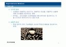 지각과 귀인 11페이지