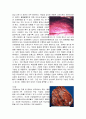 간의 구조와 기능 7페이지