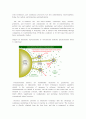 Emulsion polymerization of styrene 5페이지