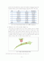 SNS 사업분석과 싸이월드를 통한 새로운 비즈니스 모델제시 5페이지