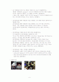 [감상문]3D 가상현실과 세계문화 유산의 결합  7페이지