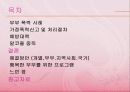 건강가정론-부부폭력 3페이지