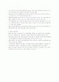 미국발 금융 위기 10페이지