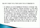 노먼포스터 27페이지
