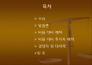 임신육아단말기 발명 2페이지