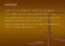 임신육아단말기 발명 3페이지