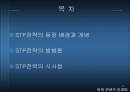 STP전략의 등장 배경과 개념 및 방법론과 시사점 2페이지