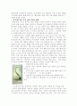 한국적인 미,한국의미,한국의 조형미에 대하여 9페이지
