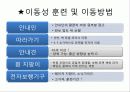 시각장애아의 교육 14페이지