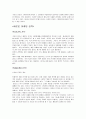 신제품 마케팅으로서의 힐리스(heelys)에 성공요인 분석 7페이지