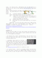 험한증의 현상분석 및 발달과정 및 해결책 대안방안 5페이지