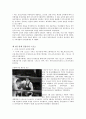 일제시대-체육사 7페이지