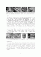 CJ의 중국진출 성공전략(두부) 11페이지