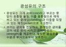 광섬유(Optical fiber) 7페이지