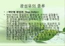 광섬유(Optical fiber) 16페이지