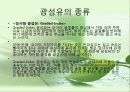 광섬유(Optical fiber) 17페이지