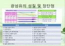 광섬유(Optical fiber) 20페이지