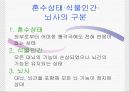 안락사[누구를 위한 죽음인가] 3페이지