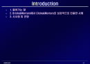 Bricks&Mortars에서 Clicks&Mortars전환한 기업사례 2페이지