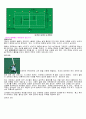 테니스 레포트 5페이지