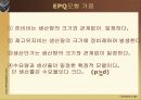 경제적 생산량 모형 EPQ모델 5페이지