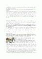 호텔매너의 정의 및 호텔서비스의 종류와 에티켓 조사분석 9페이지