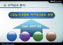 슈퍼섬유 분석자료 5페이지
