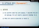 슈퍼섬유 분석자료 19페이지