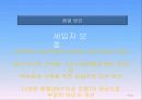 마천 거여 뉴타운 신도시 46페이지