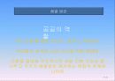 마천 거여 뉴타운 신도시 47페이지