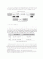 디자인 과정을 통한 패러다임과 디자인 언어와의 전이(은유/유추) 13페이지