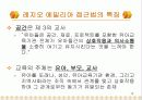 레지오 에밀리아 접근법 10페이지