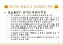 레지오 에밀리아 접근법 13페이지