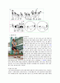 육상(투척경기) 5페이지
