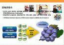 게임산업의 현황과 게임 초우량 기업 엔씨소트(NC SOFT)의 경영 전략  4페이지