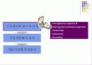 광고 마케팅 전략 STP 6페이지