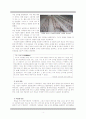 [중국의역사][고대의 중국역사][춘추전국시대의 국가][진한제국 분석]춘추전국시대와 진․한제국(사학과레포트) 4페이지