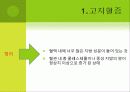 심혈관계질환과 운동처방 5페이지