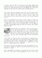 수영레포트 &어린이 자유형 지도법 4페이지