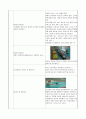수영레포트 &어린이 자유형 지도법 14페이지