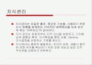 지식관리와 정부성과 4페이지