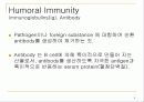P. S. Macfarlane 외, 2000, Pathology Illustrated,면역,IG,특이면역,비특이면역 5페이지