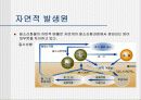 [환경]질소산화물&질소산화물처리기술의정의&처리기술의종류&질소산화물에 관한 모든것^-^ 4페이지