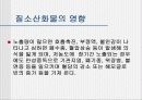 [환경]질소산화물&질소산화물처리기술의정의&처리기술의종류&질소산화물에 관한 모든것^-^ 12페이지
