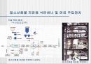 [환경]질소산화물&질소산화물처리기술의정의&처리기술의종류&질소산화물에 관한 모든것^-^ 42페이지